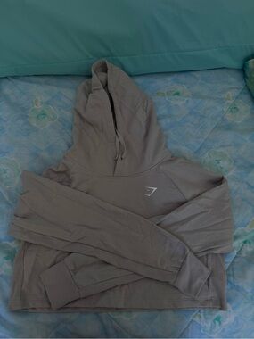 Gymshark Hoodie in Taupe Gray & Purple